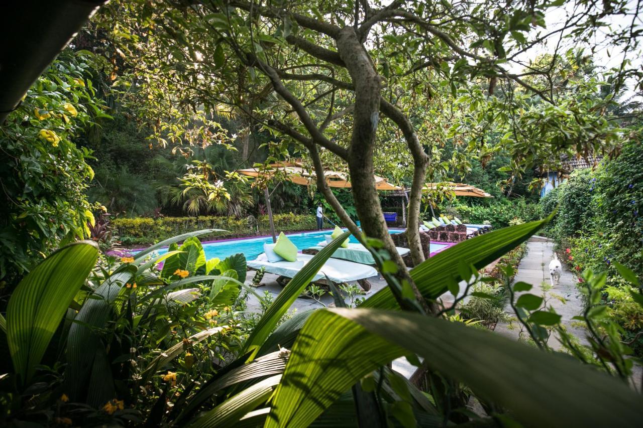 Отель Casa Susegad Маргао Экстерьер фото